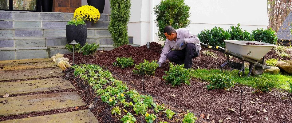 DalaCasa worker installing fresh mulch in a flower bed in Charlotte, NC.