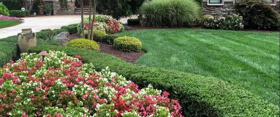Manicured lawn and landscape at home in Waxhaw, NC.