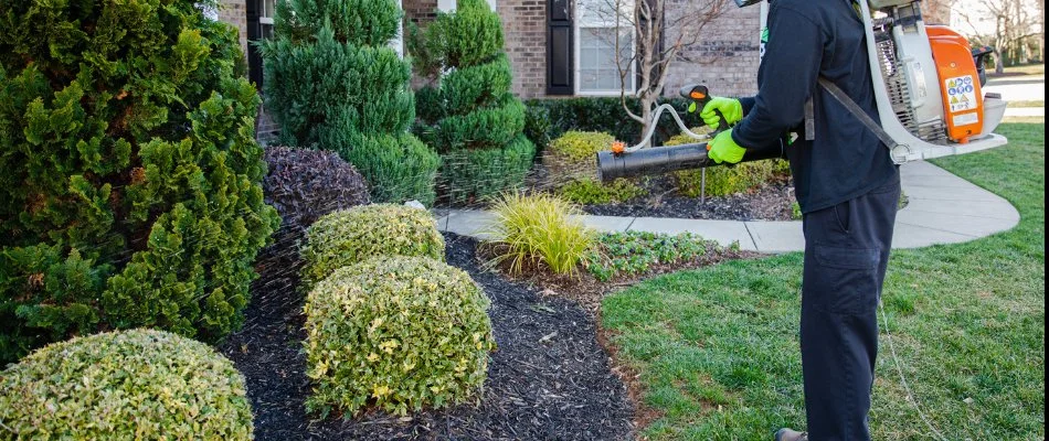 Worker in Charlotte, NC, fertilizing trees and shrubs.