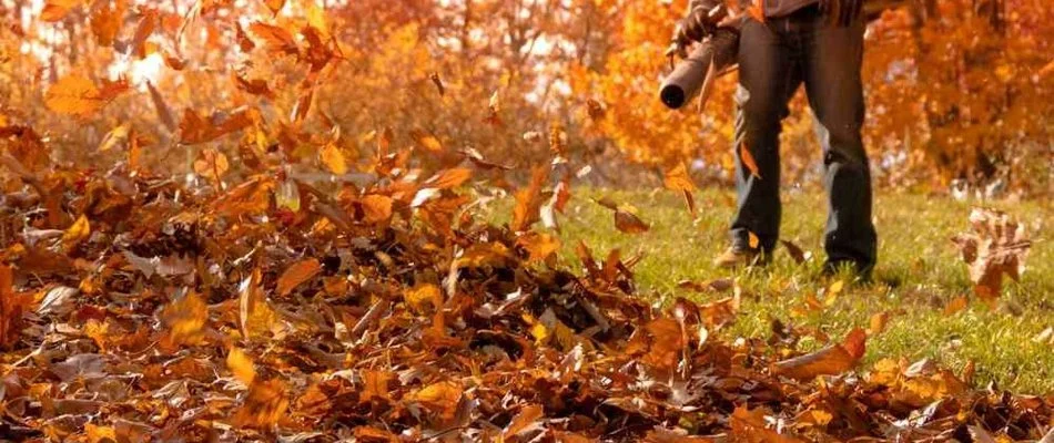 Worker in Charlotte, NC, gathering leaves with a blower.