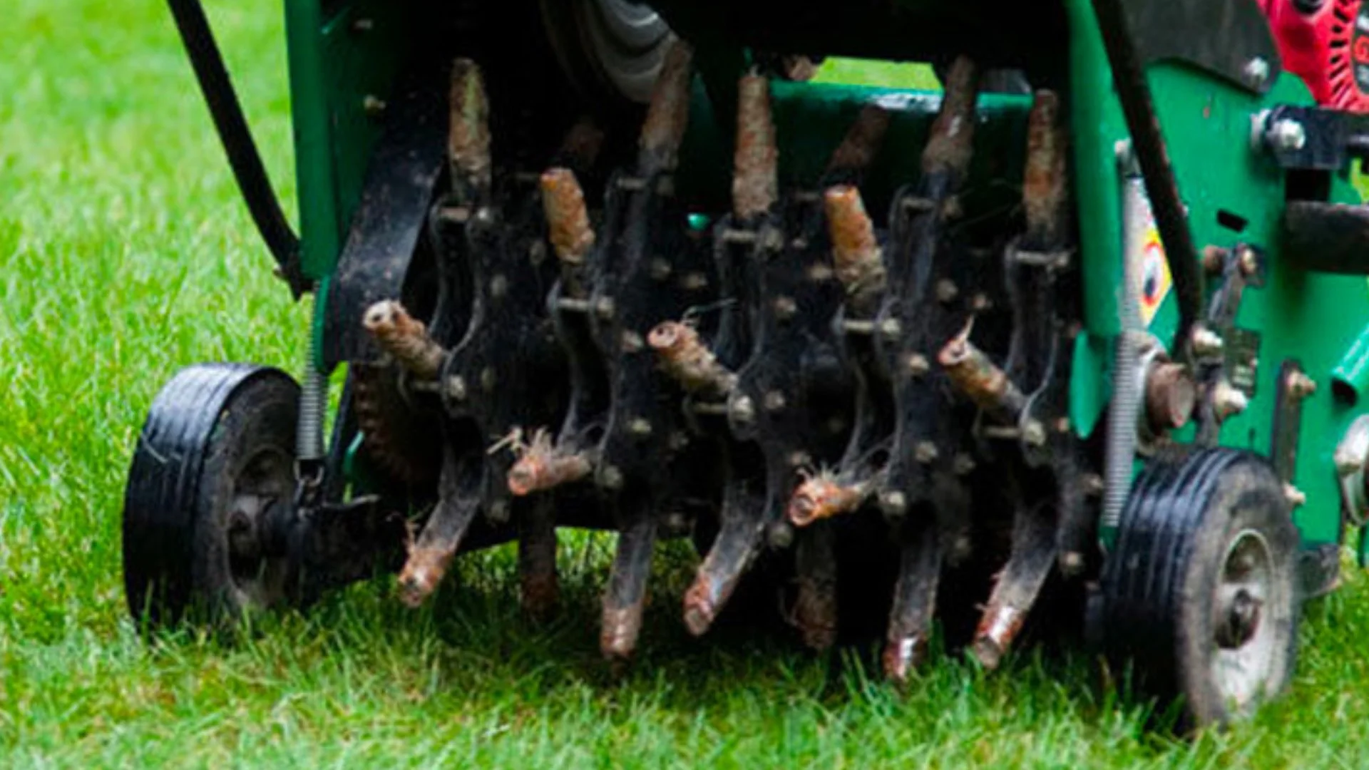 Aerating Your Lawn Is a Must in the Fall!