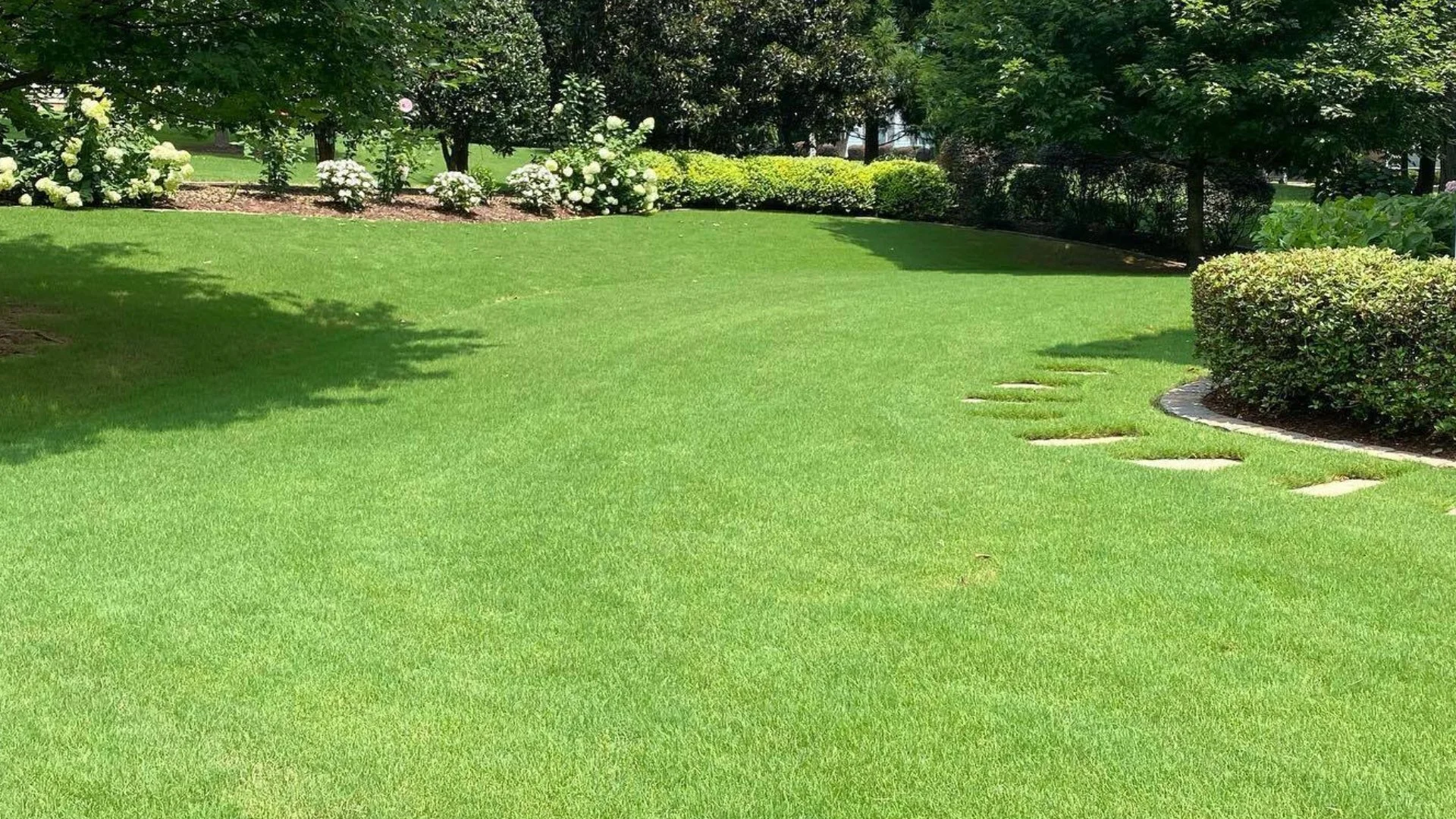 Don’t Fertilize Your Lawn Without Applying Weed Control Treatments