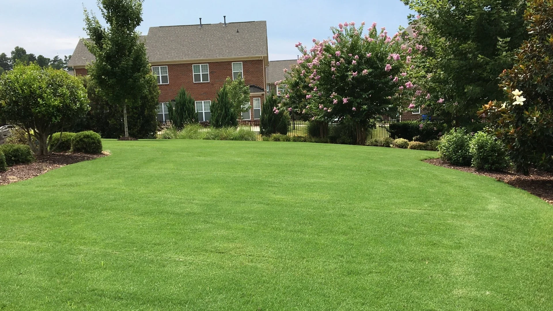 Does Post-Emergent Weed Control Eliminate Weeds Fast?