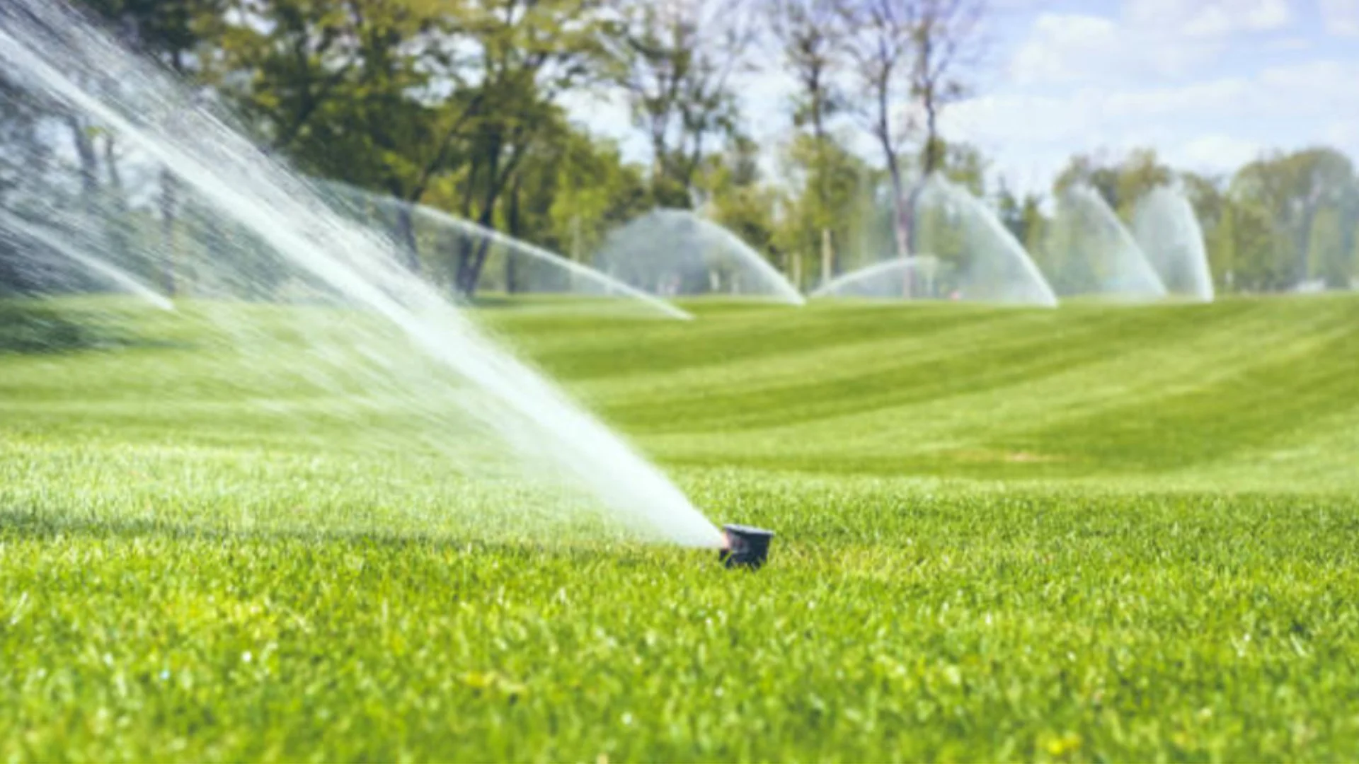 Is It Worth It to Invest in an Irrigation System for Your Property?