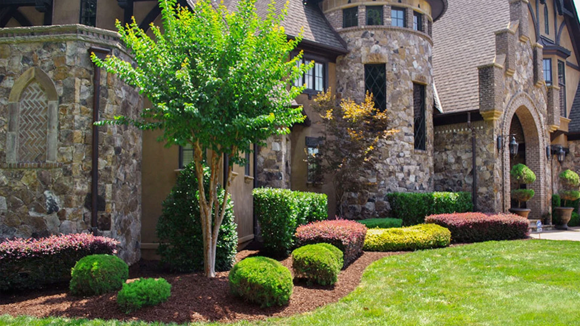 Is There a Difference Between Plant Trimming & Plant Pruning?