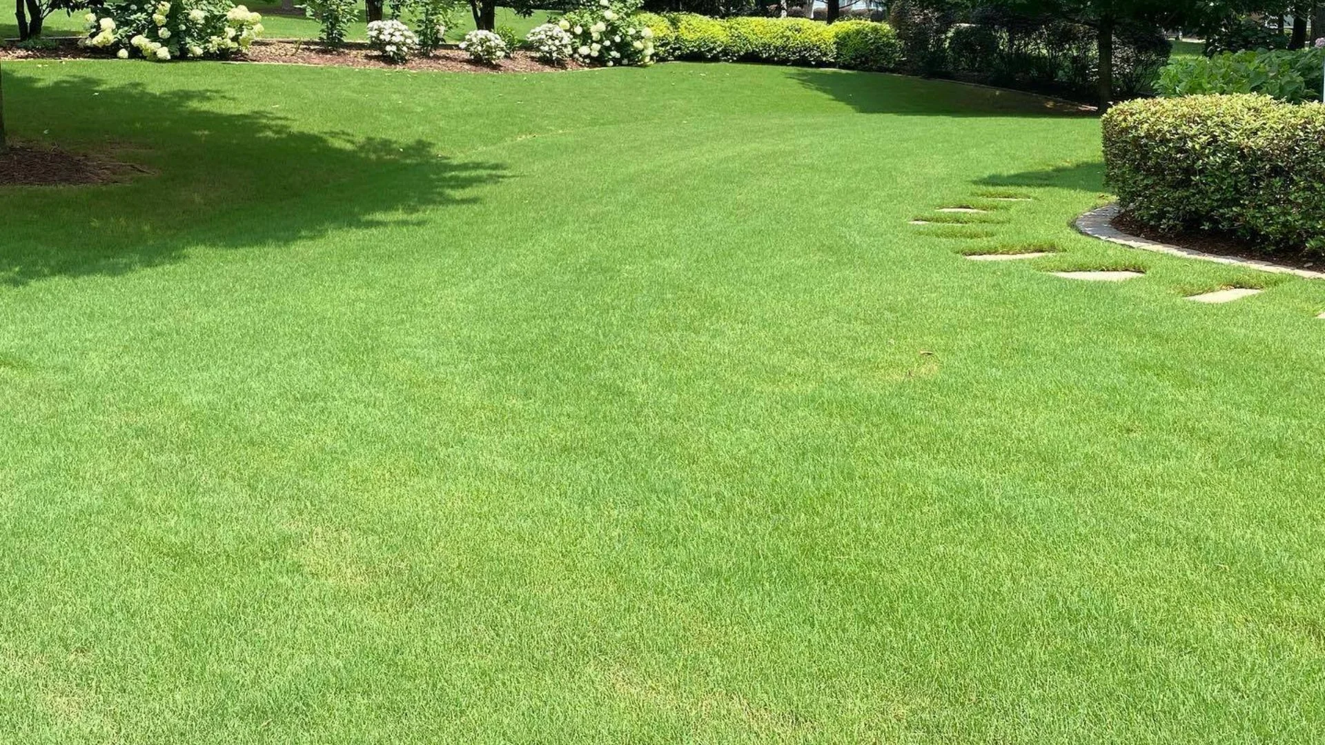Do Lawns Absorb Fertilizer Quickly?