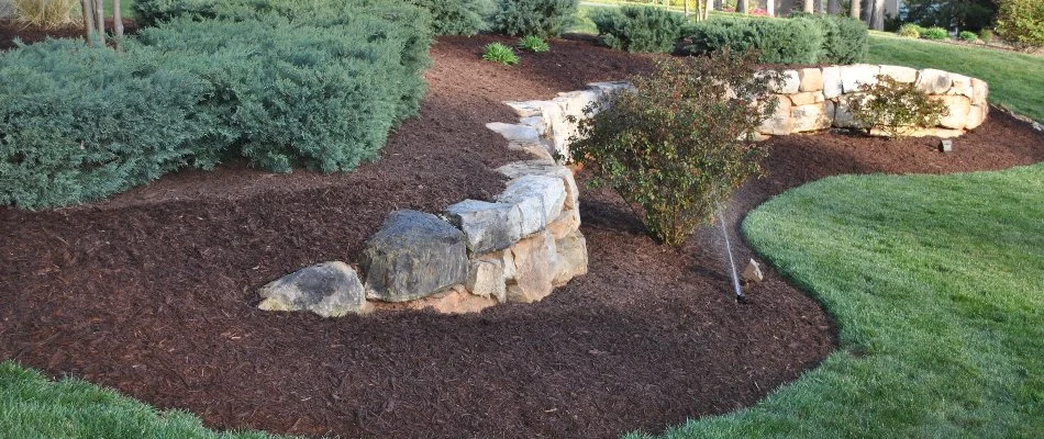 Fresh mulch in a landscape in Charlotte, NC, with a rock wall.