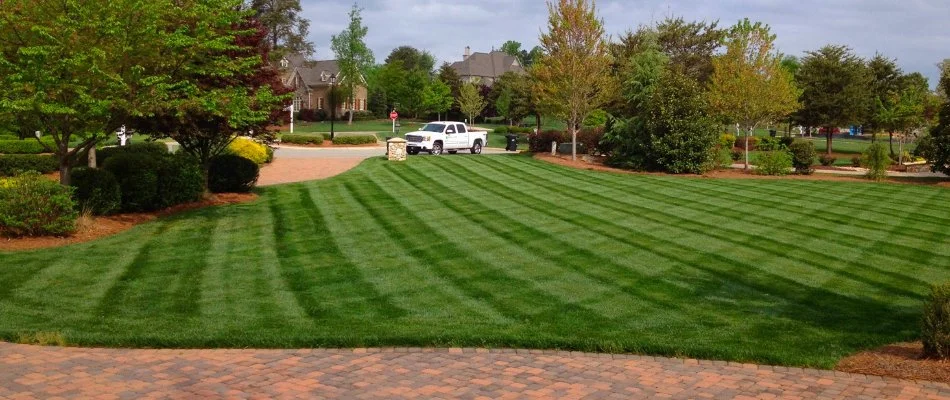 Green lawn in Charlotte, NC, with mowing stripes and trees.