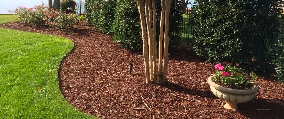 A landscape bed on a property in Charlotte, NC, with mulch.