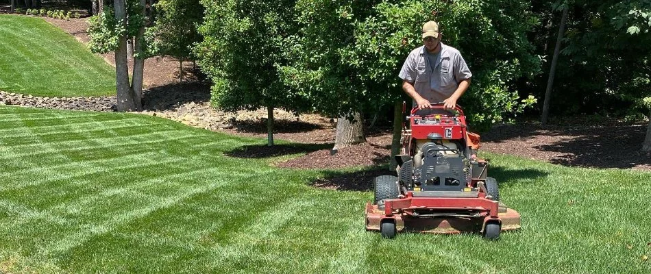 Professional mowing a green lawn in Charlotte, NC.