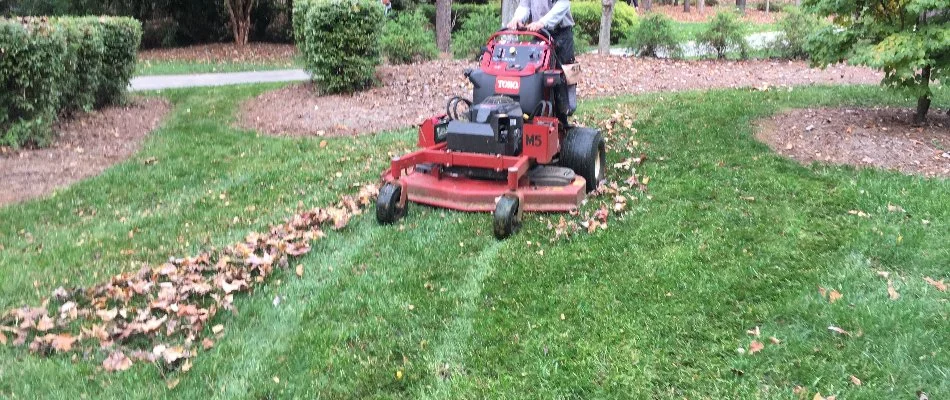 Worker on a red mower cutting leaf-covered grass in Charlotte, NC.