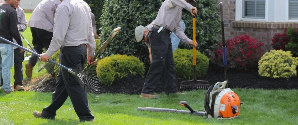 Workers around a landscape in Charlotte, NC, installing mulch.