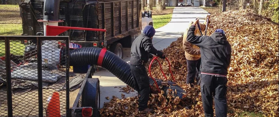 Crew in Huntersville, NC, vacuuming up leaf piles from a curb.