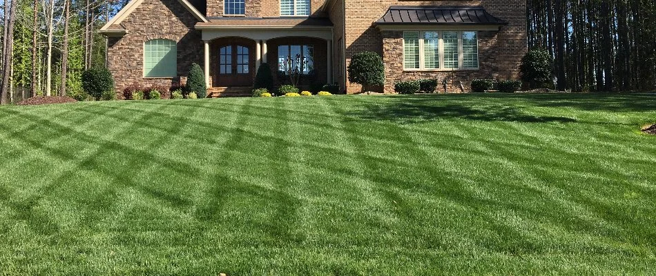 Green lawn in Fort Mill, SC, with mowing pattern.