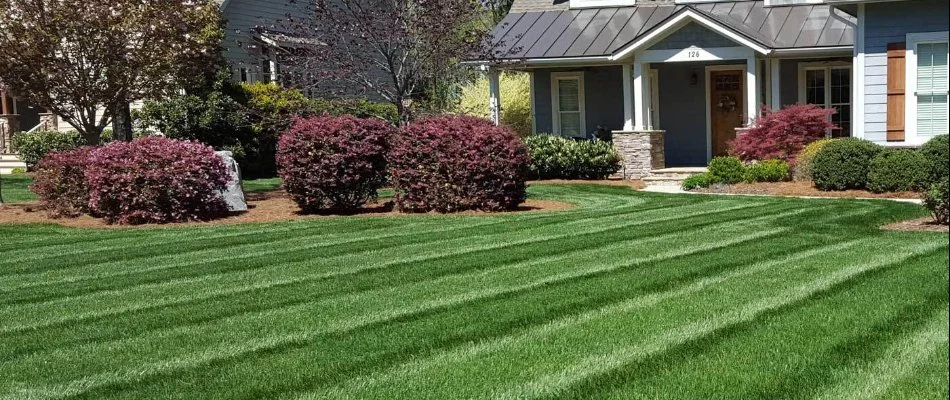 A home in Indian Land, SC, with green grass and shrubs.