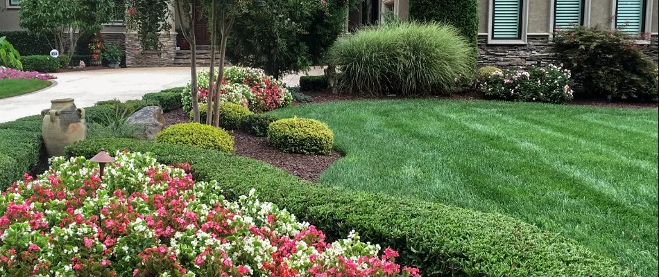Mulched landscape bed in Concord, NC, with flowers and plants.