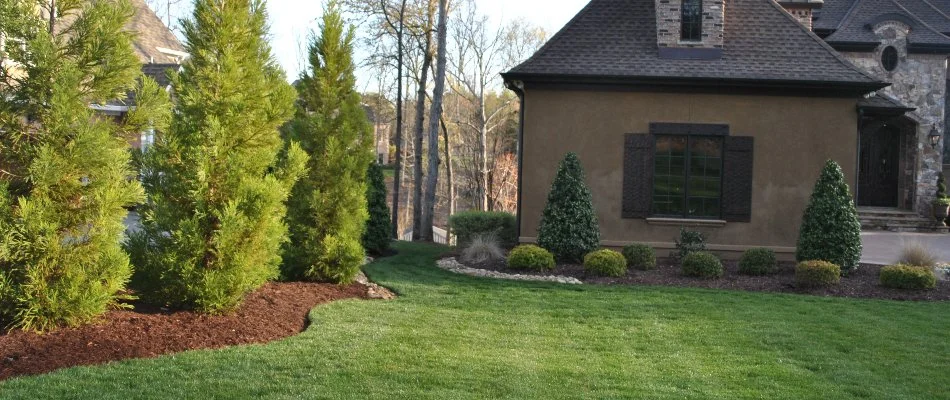 Landscape beds on a property in Matthews, NC, filled with trees and shrubs.