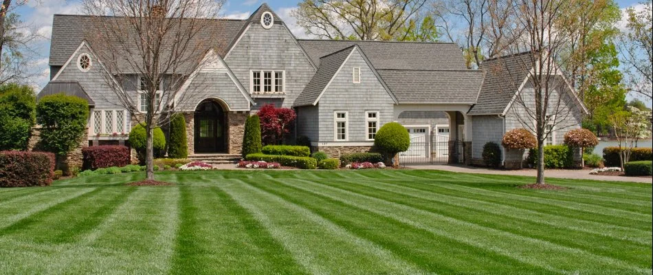 Lawn in Mint Hill, NC, with a mowing pattern near a house with landscaping.