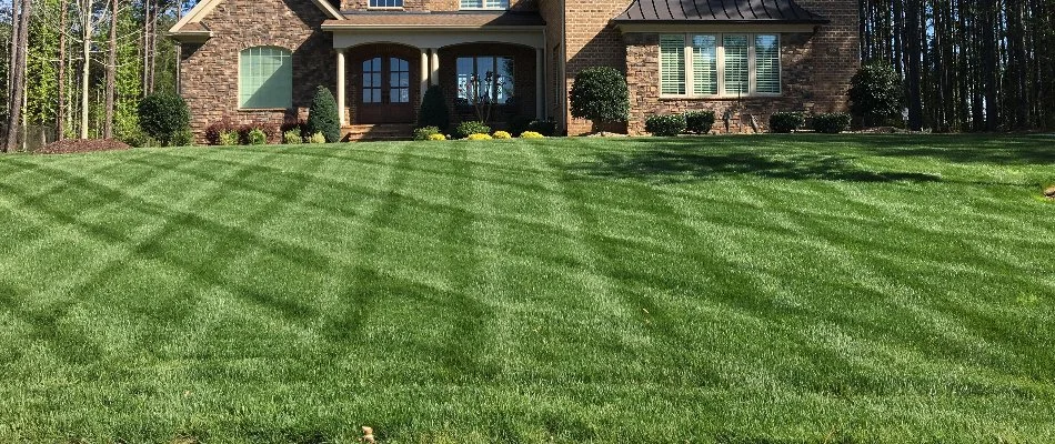 Mowing pattern on green grass on a house in Waxhaw, NC.