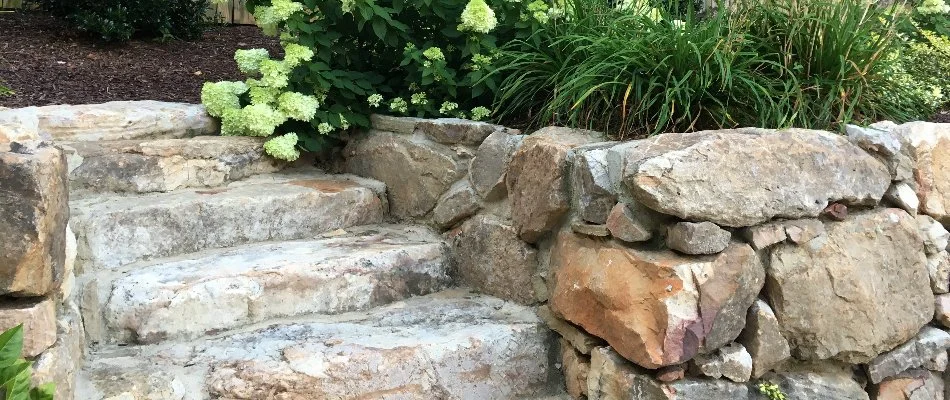 Outdoor steps in Huntersville, NC, with plants and flowers.