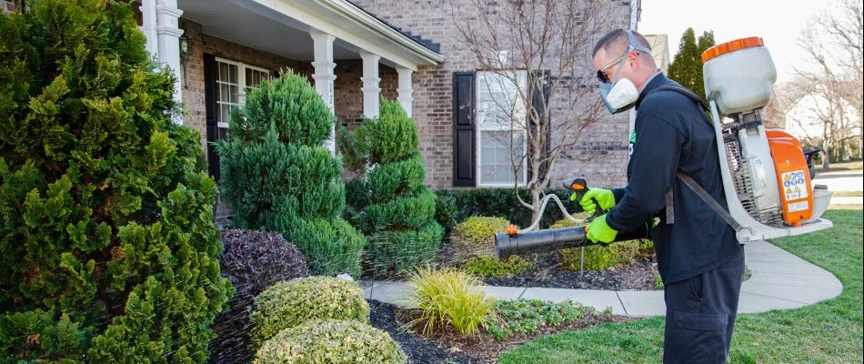 Professional applying fertilizer treatment on trees and shrubs in Charlotte, NC.