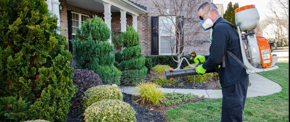 Professional in Charlotte, NC, treating trees and shrubs with granular product.