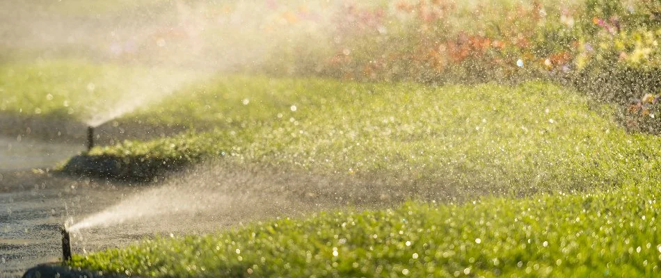 Sprinklers along the edge of a lawn in Newell, NC.