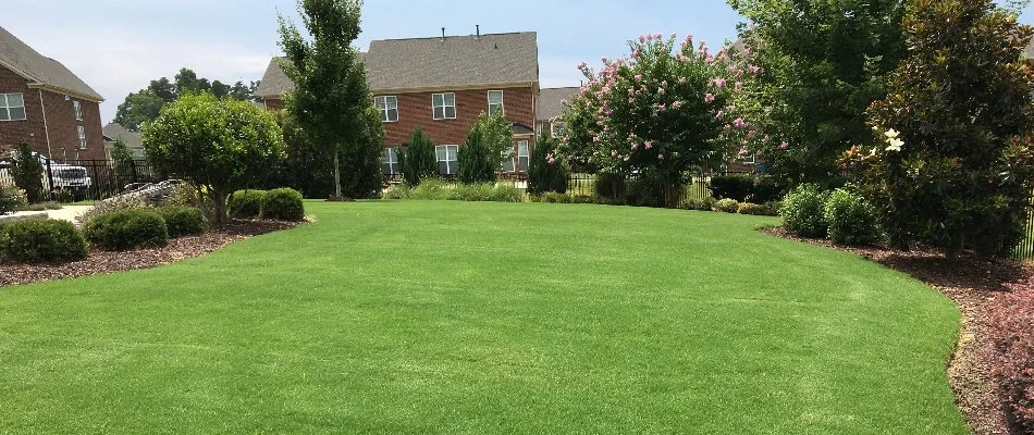 Thick green lawn in Fort Mill, SC, with landscaping on a house.