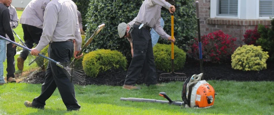 Workers in Charlotte, NC, cleaning up a landscape.